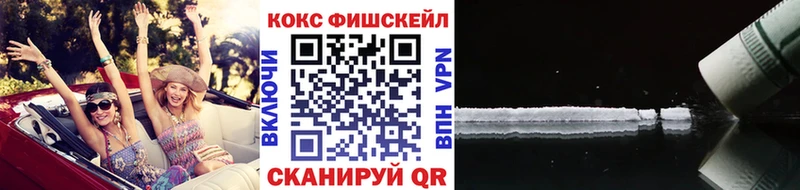 КОКАИН Fish Scale  Купить закладки  Дятьково 